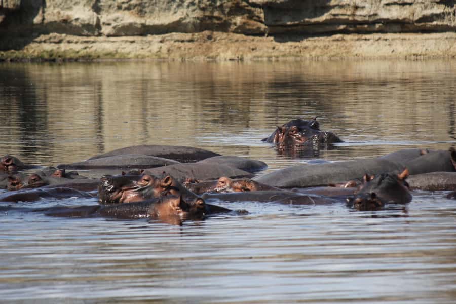 3 Days 2 Nights Amazing Masai Tour & Mikumi National Park - Practical advice before you go