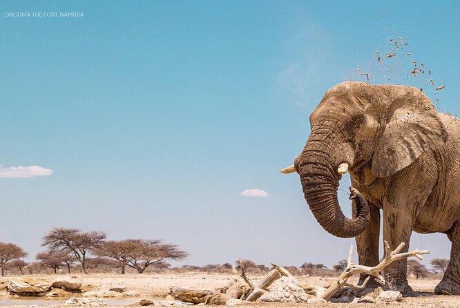 3 Days 2 Nights Group Joining Serengeti and Ngorogoro Safari - Day three: the Ngorongoro Crater