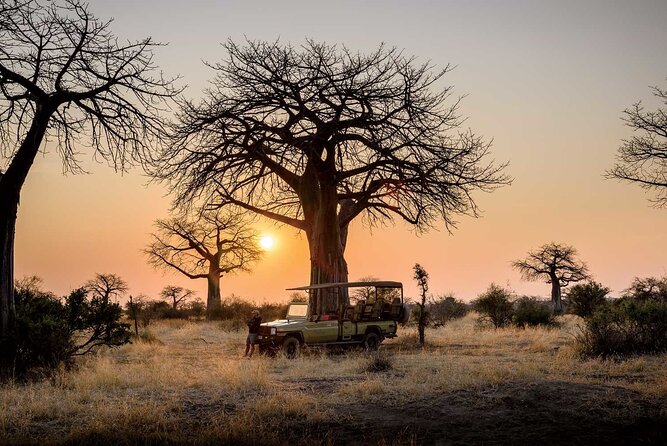 3 Days 2 Nights Group Joining Serengeti and Ngorogoro Safari - The vehicle and guide make a real difference