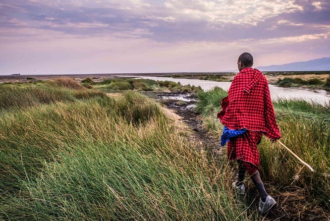 3 Days 2 Nights Group Joining Serengeti and Ngorogoro Safari - Meals, camping, and what to pack