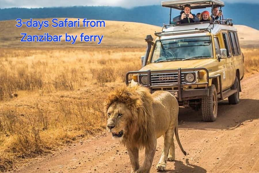 3 DAYS, 2 NIGHTS SAFARI FROM ZANZIBAR TO MIKUMI BY FERRY. - Day 2: A full game drive in Mikumi National Park