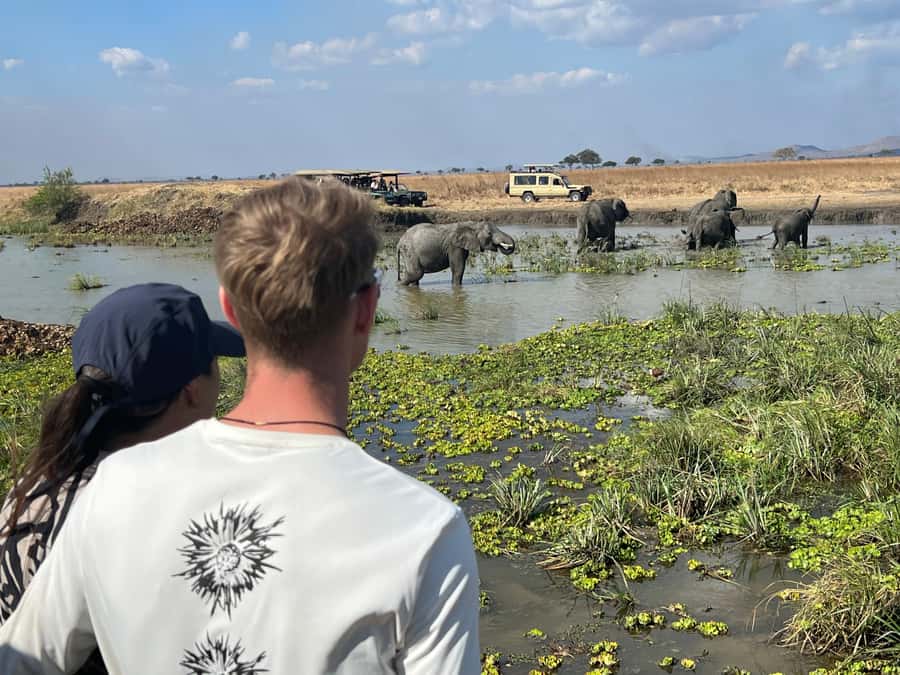 3 DAYS, 2 NIGHTS SAFARI FROM ZANZIBAR TO MIKUMI BY FERRY. - The guides make a major difference