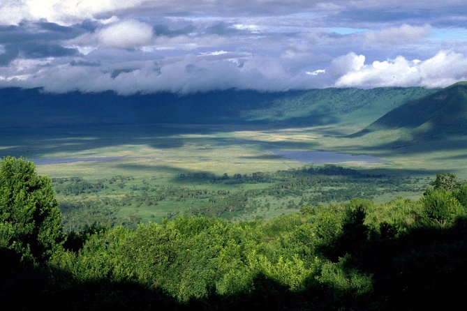 3 Days 2 Nights Serengeti, Ngorongoro & Tarangire Wildlife Lodge Safari - Three parks, three very different safari moods