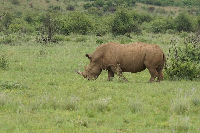 3-Days 2-nights Tanzania Private Budget Camping Safari - Key points to know before booking