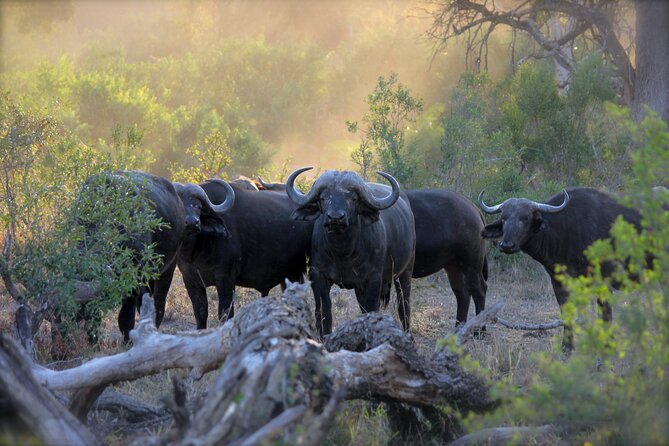 3-Days 2-nights Tanzania Private Budget Camping Safari - A night at the Serengeti campsite
