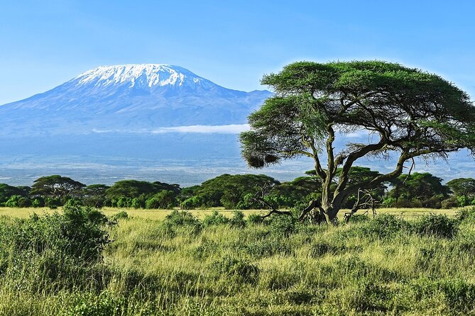 3 Days All Inclusive Zanzibar to Tarangire Ngorongoro - Guides, communication, and the human side of the trip