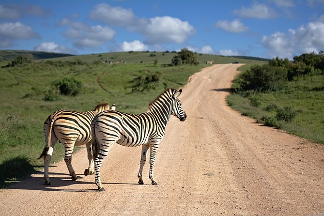 3 Days Amzing Safari in Tarangire and Nngorongoro - Is the $708.34 price good value?