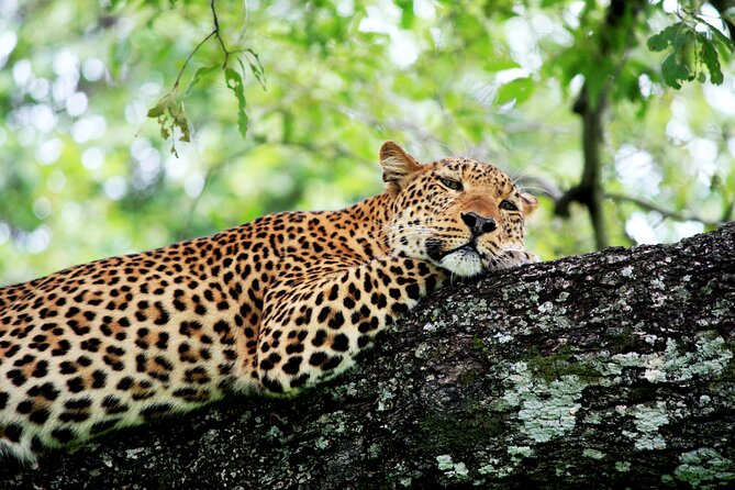 3 Days Amzing Safari in Tarangire and Nngorongoro - Booking details worth checking