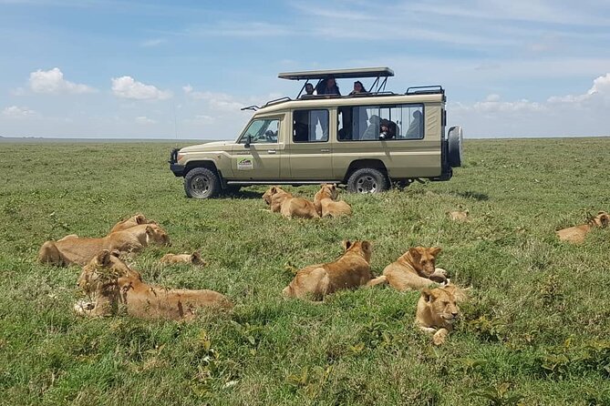 3 Days Big 5 Tour and Culture in Tanzania - Lake Eyasi: a different kind of safari