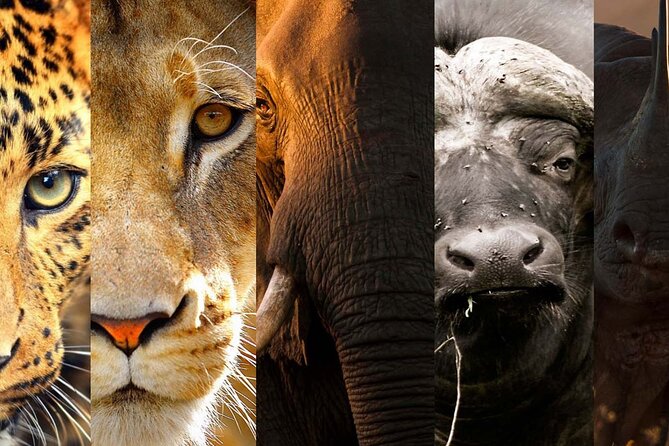 3 Days Big Five Unforgetable Lodging Tanzania Safari - Why this three-day route works