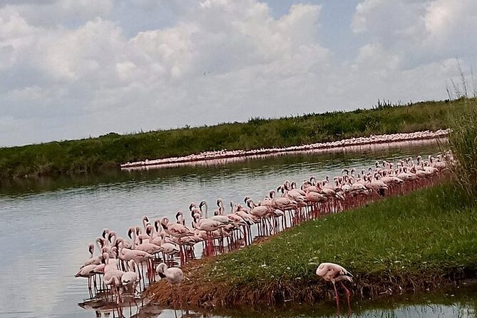 3-Days Budget Lodge Safari - Tarangire, Ngorongoro & Lake Manyara - Meals, lodging, and what remains extra