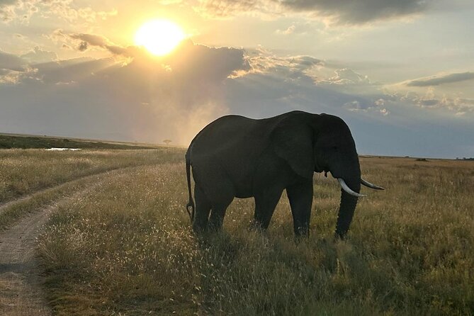 3-Days Budget Lodge Safari - Tarangire, Ngorongoro & Lake Manyara - Who should choose this safari?