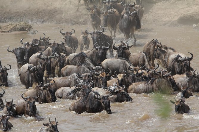 3 Days Camping Safari Tarangire, Lake Manyara and Ngorongoro Crater - What the $780 price really covers