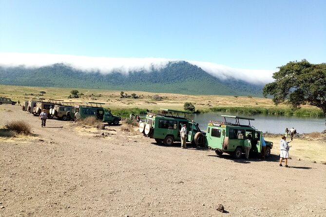 3 Days Exploring Serengeti & Ngorongoro Crater from Arusha - The guide can make or break the experience