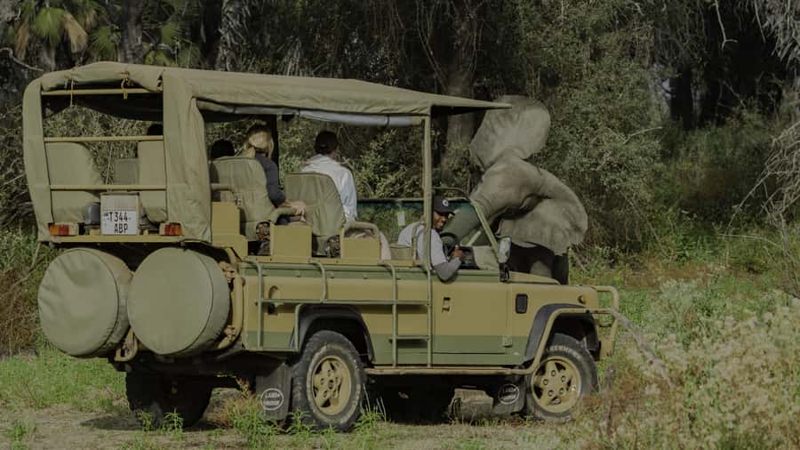 3 Days Flight Package Zanzibar to Nyerere/Selous - Day Three: Maasai Culture and the Long Return