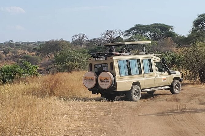 3 Days Fly in & Out Serengeti Park - Is $2,300 Per Person Fair Value?