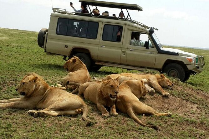 3 Days Fly in & Out Serengeti Park - Day Three: Sunrise, Hippos, and the Flight Out