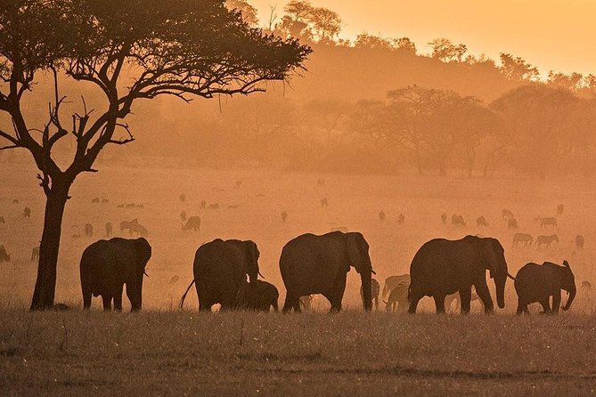 3 days fly in safari - Lodges, meals, and what the package covers
