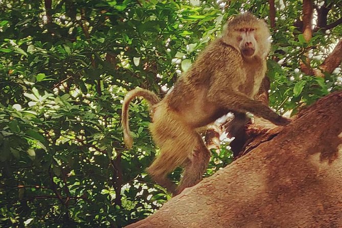3 days fly in safari - Is $2,600 per person fair?