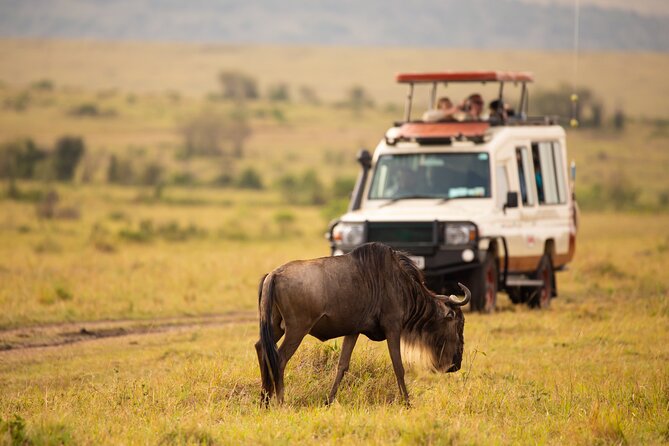 3 days fly in safari - Day 2: An early start and the road toward Ngorongoro