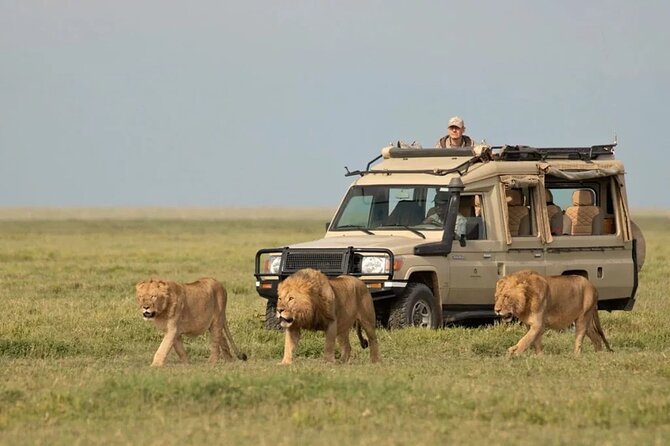 3 Days Group Joining Serengeti and Ngorongoro Safari - Day one: the long road to Serengeti