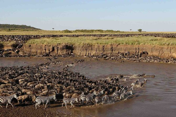 3 Days Group Joining Serengeti and Ngorongoro Safari - Who should book this safari?