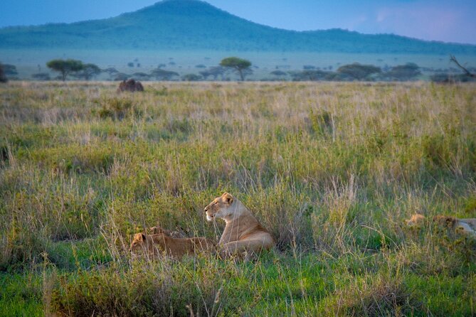 3 Days Group Safari Serengeti & Ngorongoro - Two parks, three days, and a lot of road