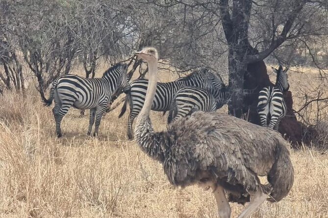 3 Days Group Safari Serengeti & Ngorongoro - Leaving Arusha for the Serengeti