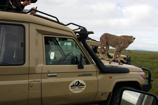 3 Days Lake Manyara, Ngorogoro Crater, Tarangire National Park - Day 3: Tarangire or Lake Manyara?