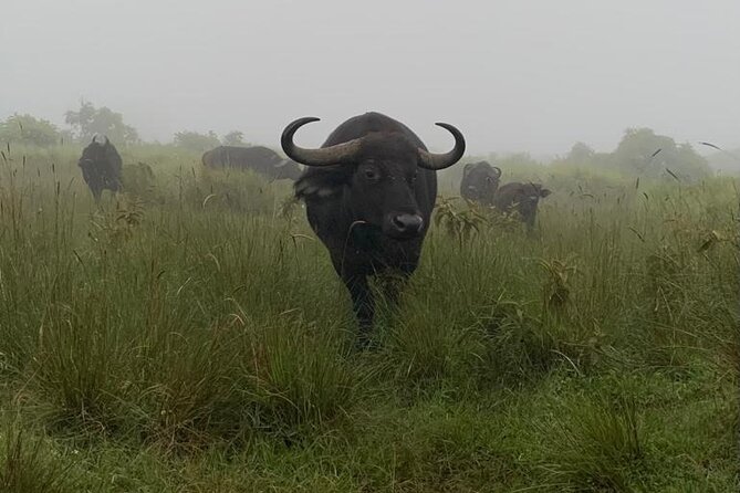 3 Days Lake Manyara, Tarangire, Ngorongoro Crater group (Camping) - Who should book this safari?