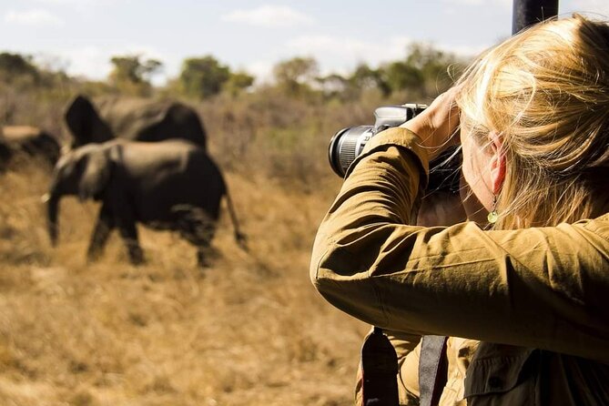 3-Days Lodge Safari in Tarangire, Ngorongoro Crater & Lake Manyara - Day 3: Lake Manyara’s forest and flamingos