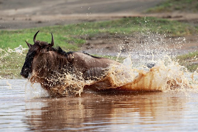 3 Days Luxury Lodge Safari in Tanzania - The Cultural Heritage Centre adds a human perspective