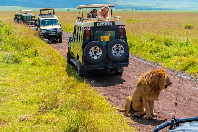 3 days Luxury Safari Tour in Tanzania - Three parks, three very different safari moods