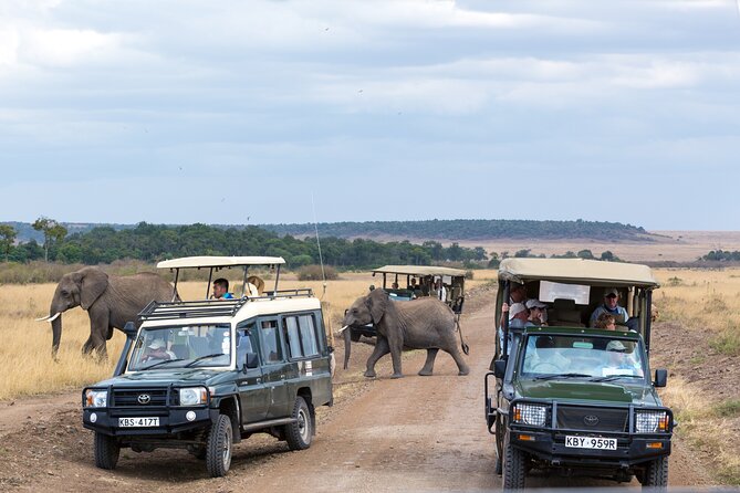 3 days Luxury Safari Tour in Tanzania - Day three: descending into Ngorongoro Crater