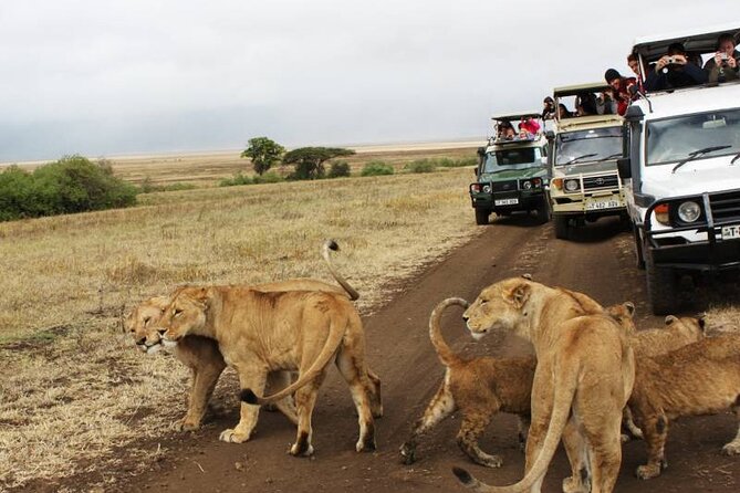 3 days Luxury Safari Tour in Tanzania - Is $3,743 per person good value?