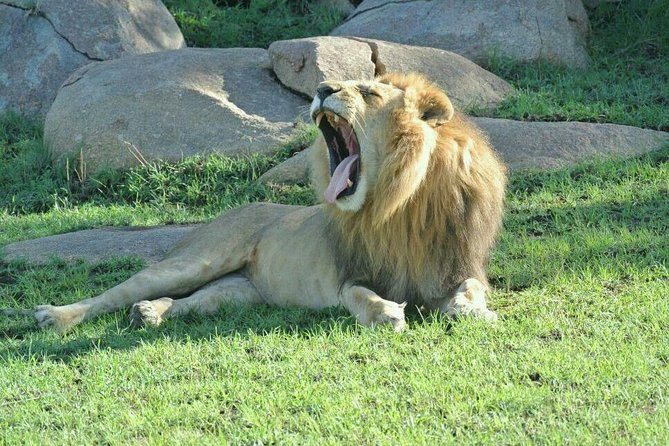 3 Days Luxury Safari - Why this three-day route works