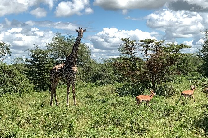 3 Days Mikumi National Park Private Tour - Why Mikumi works well for a short safari from Dar es Salaam