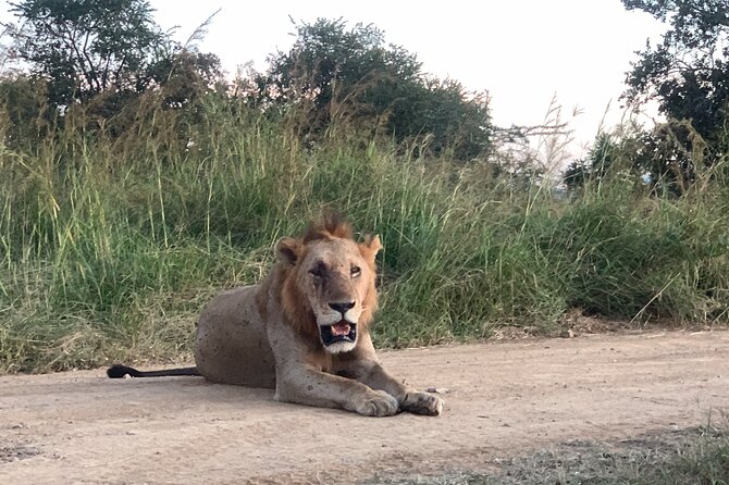 3 Days Mikumi National Park Private Tour - What the private format adds