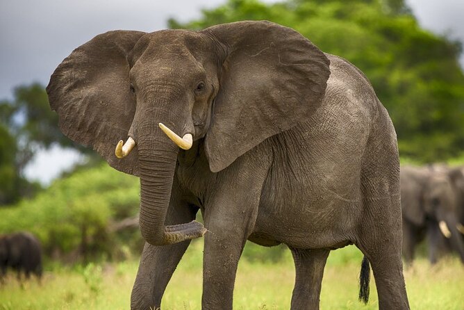 3 Days Mikumi National Park Private Tour - Meals, lodging, and daily comfort
