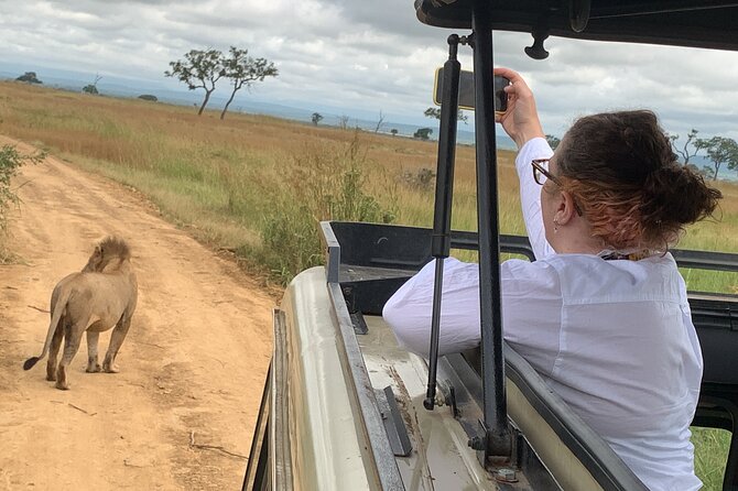 3 Days Mikumi National Park Private Tour - Day One: the early road to Mikumi and an afternoon game drive