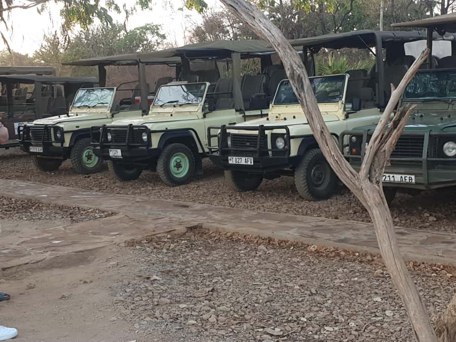 3 DAYS NYERERE NATIONAL PARK FROM ZANZIBAR BY FLIGHT. - Why this short safari works from Zanzibar