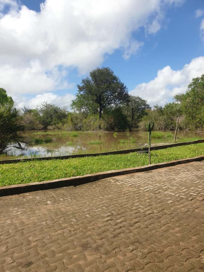 3 DAYS NYERERE NATIONAL PARK FROM ZANZIBAR BY FLIGHT. - Accommodation: confirm the lodge before you go