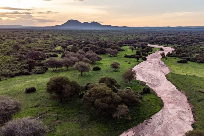 3 Days Nyerere National Park Safari (Selous Game Reserve) - What the walking safari adds