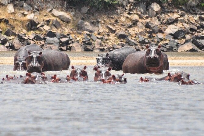 3 Days Nyerere National Park Safari (Selous Game Reserve) - Meals, transport, and what the price covers