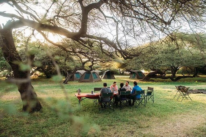 3 Days of Camping Bliss in Serengeti and Ngorongoro Crater - Why this three-day safari works