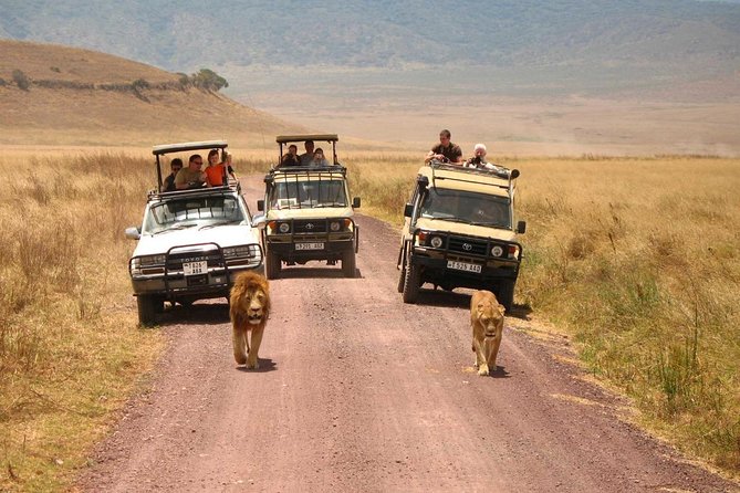 3 Days of Camping Bliss in Serengeti and Ngorongoro Crater - The Landcruiser and group size