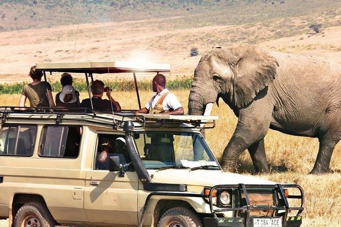 3 Days of Camping Bliss in Serengeti and Ngorongoro Crater - Booking flexibility and practical checks
