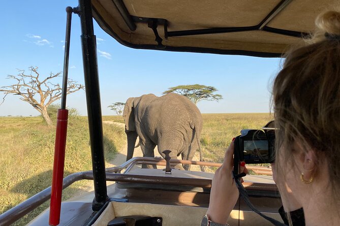 3 Days Private Budget Safari to Tarangire and Ngorongoro Crater - Tarangire: elephants, baobabs, and a full day outside