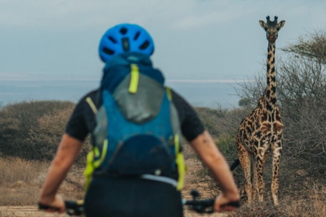 3 Days Private E-Bike Tour in West Kilimanjaro - Day 2: Wildlife and open grasslands toward Osiligilai