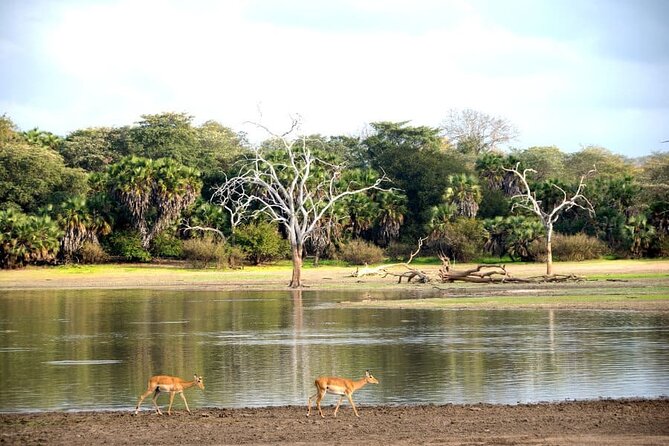 3-Days Private Nyerere NP Game Drive and Boat safari tour - Why this Nyerere safari works as a short trip from Dar es Salaam